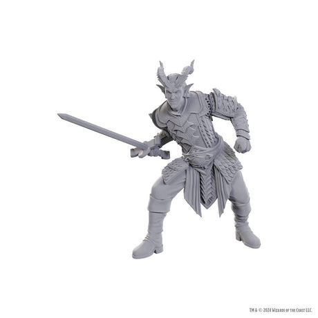 D&D Nolzur's Marvelous Miniatures Special Edition Baldur's Gate 3 - Ulder Ravengard & Zevlor