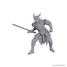 Load image into Gallery viewer, D&amp;D Nolzur&#39;s Marvelous Miniatures Special Edition Baldur&#39;s Gate 3 - Ulder Ravengard &amp; Zevlor