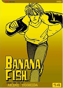 Banana Fish Volume 14