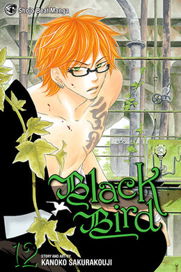 Black Bird Volume 12