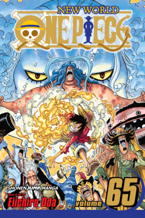 One Piece Volume 65