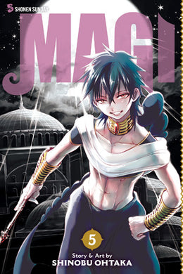 Magi Volume 5