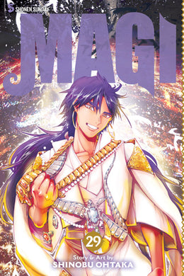 Magi Volume 29