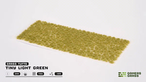 Gamers-Gras, winzige Büschel, hellgrün, 2 mm
