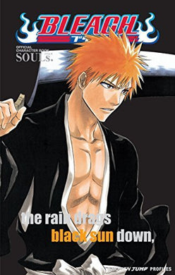 Bleach: Souls. Official Character Book (With Stickers)