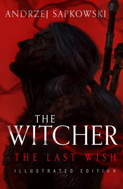 The Witcher: The Last Wish Hardcover