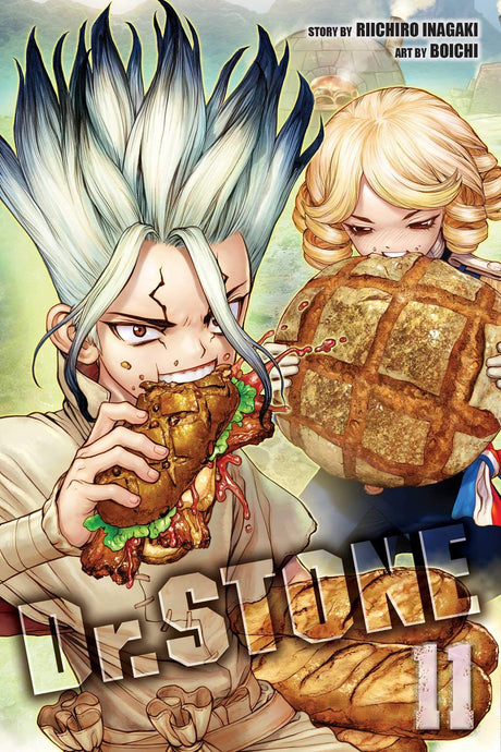 DR STONE VOL 11