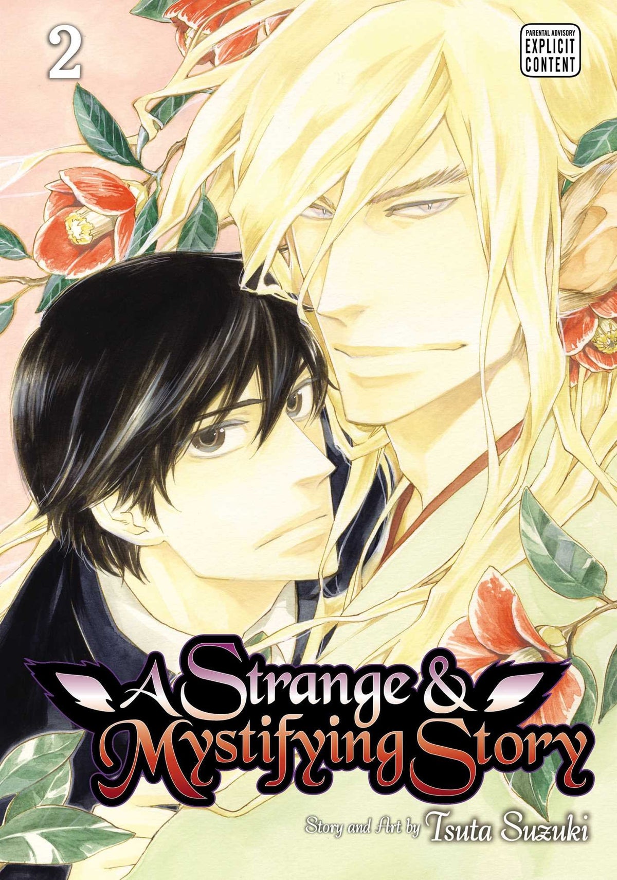 A Strange And Mystifying Story Volume 2