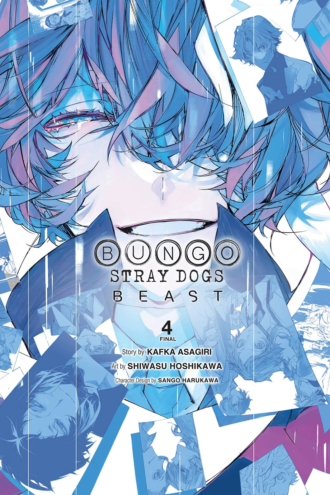 Bungo Stray Dogs Beast Volume 4