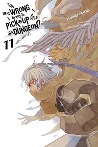 Is It Wrong to Try to Pick Up Girls in a Dungeon? Light Novel Volume 11