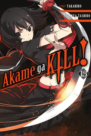 Akame Ga Kill Volume 13