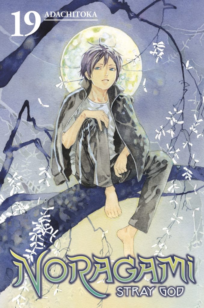 Noragami Stray God Volume 19