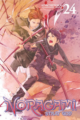 Noragami Stray God Volume 24