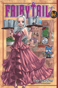 Fairy Tail Volume 14