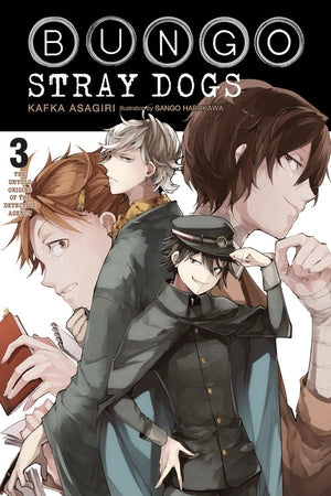 Bungo Stray Dogs Light Novel Volume 3