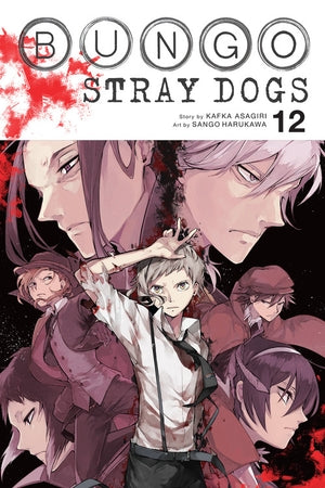 Bungo Stray Dogs Volume 12