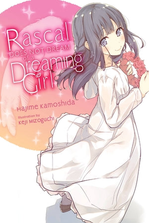 Rascal Does Not Dream of Volume 6 a Dreaming Girl Light Novel