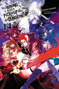 Is It Wrong to Try to Pick Up Girls in a Dungeon? Light Novel Volume 14