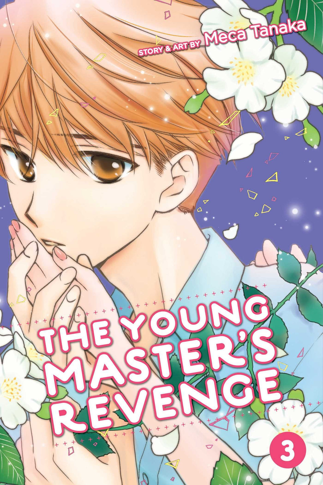 The Young Master's Revenge Volume 3