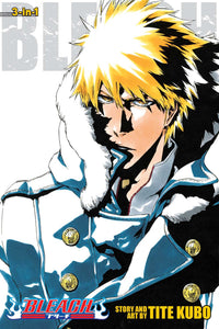 Bleach 3-In-1 Volume 17