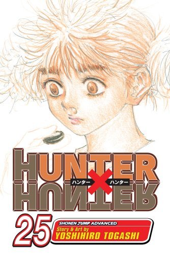 Hunter x Hunter Volume 25
