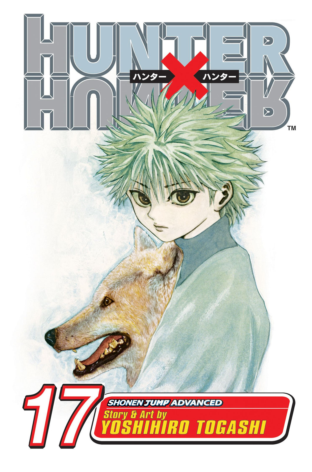 Hunter x Hunter Volume 17