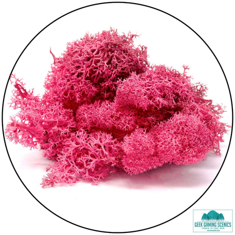 Lichen Reindeer Moss Fuschia