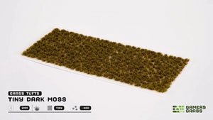 Gamers-Gras, winzige Büschel, dunkles Moos, 2 mm