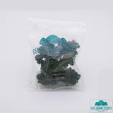 Dark Green Clump Foliage