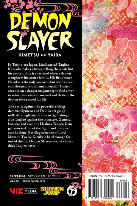 Demon Slayer Kimetsu No Yaiba Volume 11