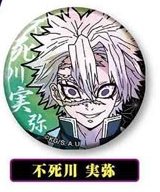 Demon Slayer Kimetsu no Yaiba Can Badge Vol 2