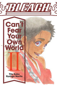 Bleach Can't Fear Your Own World Light Novel Volume 2