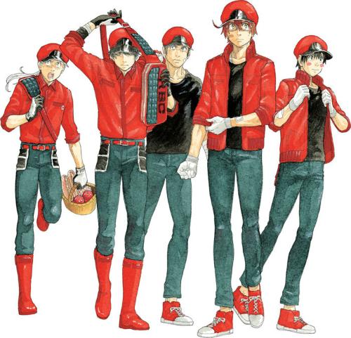 Cells at Work Code Black Volume 6