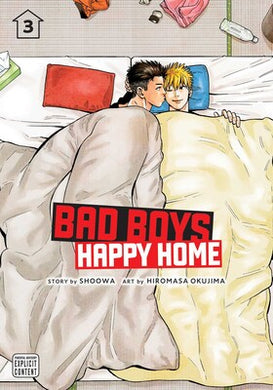 Bad Boys Happy Home Volume 3