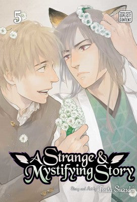 A Strange And mystifying Story Volume 5