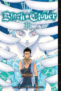 Black Clover Volume 30