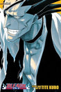 Bleach 3-In-1 Volume 5