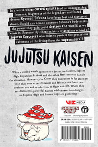 Jujutsu Kaisen Volym 2