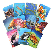Load image into Gallery viewer, Ecosystem Coral Reef