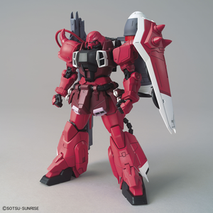 MG Zaku Gunner Warrior Lunamaria Hawke Custom 1/100 Gundam Model Kit