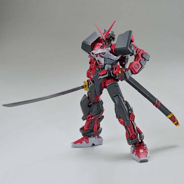 HG Gundam Astray Red Frame Inversion 1/144 Model Kit