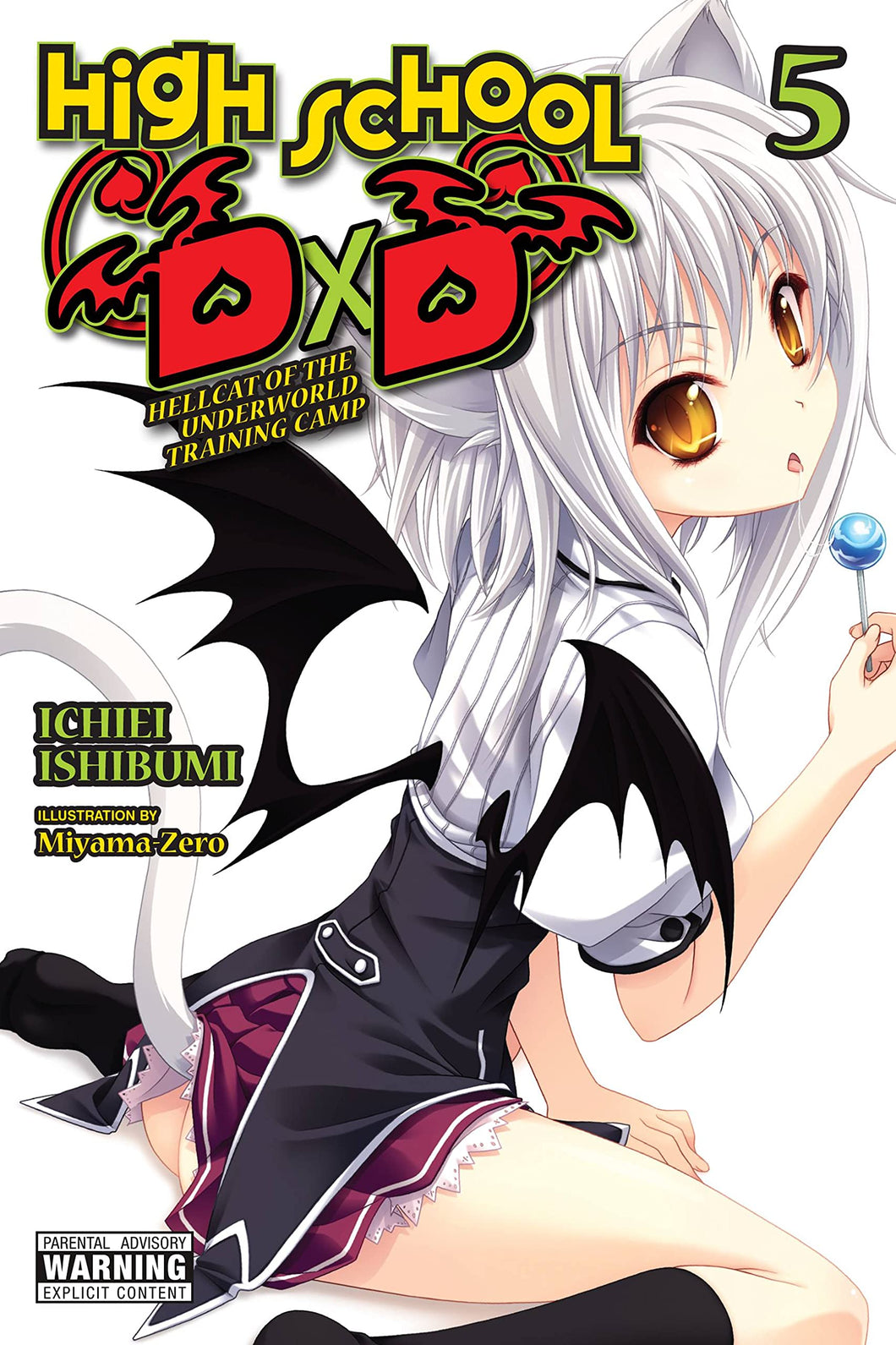 High School DXD Light Novel Volume 5