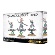 Disciples Of Tzeentch Tzaangor Enlightened