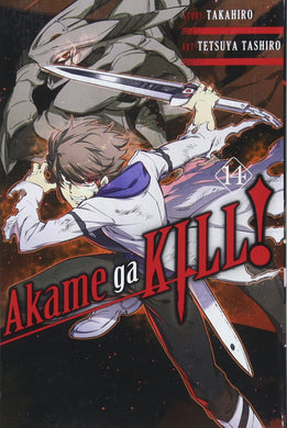 Akame Ga Kill Volume 14