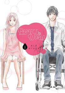 Perfect World Volume 1