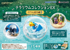 Pokémon terrarium samling ex galar region 2