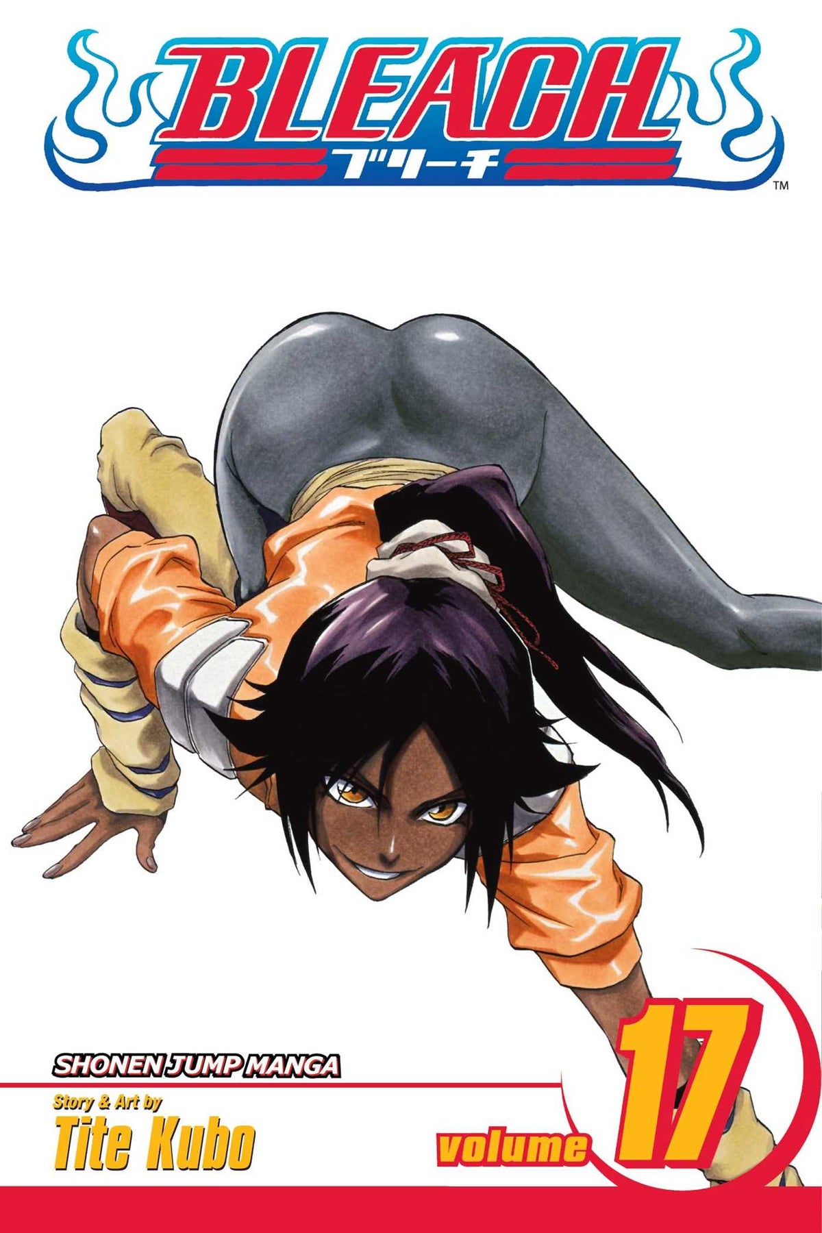 Bleach Volume 17