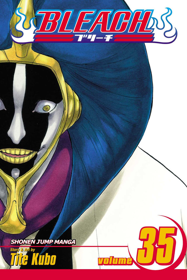 Bleach Volume 35
