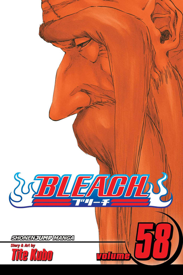 Bleach Volume 58