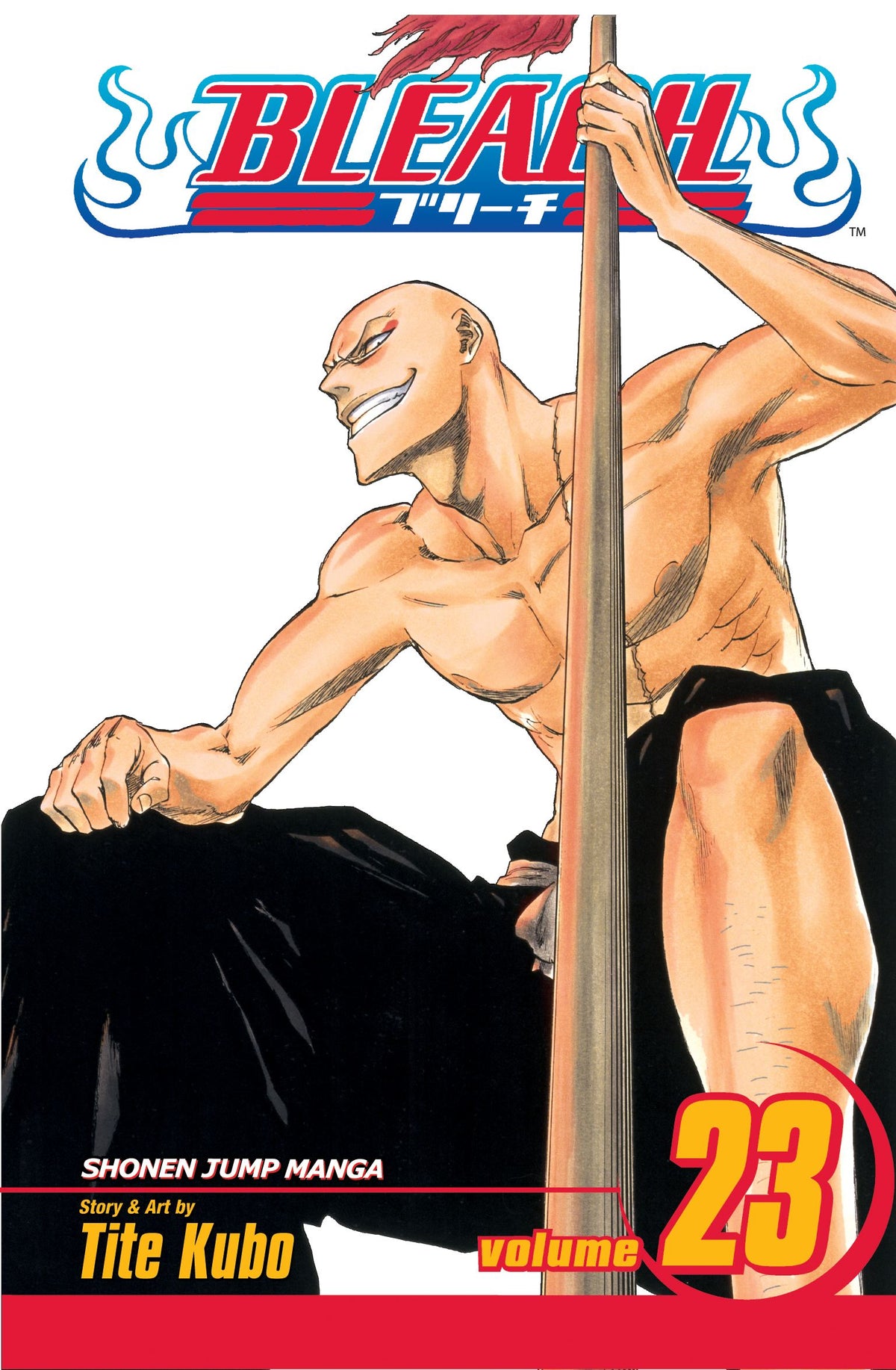 Bleach Volume 23